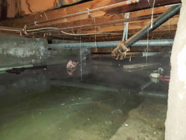  Deerfield, MI Water damage restoration Pros