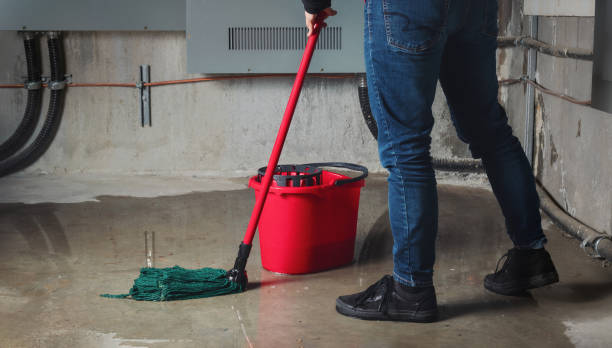 Best 24-hour water damage restoration  in Deerfield, MI
