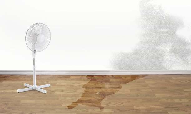 Best 24-hour water damage restoration  in Deerfield, MI