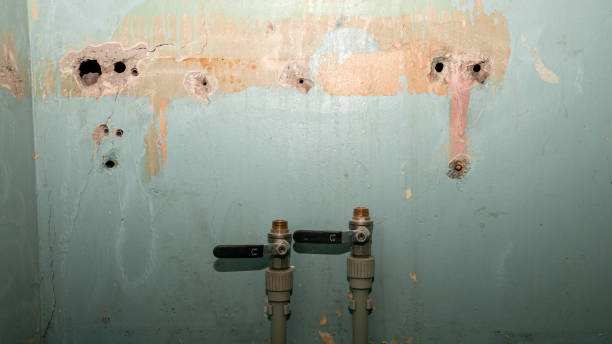 Best 24-hour water damage restoration  in Deerfield, MI