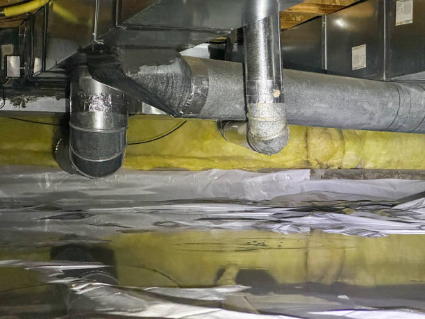 Water damage restoration mold remediation in MI