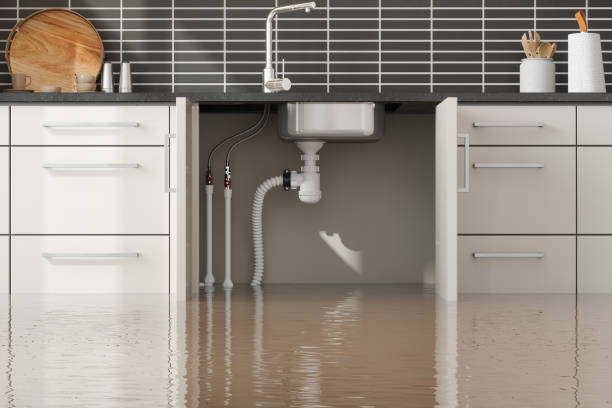 Best Mold removal after water damage  in Deerfield, MI
