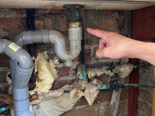 Best Water damage contractors near me  in Deerfield, MI