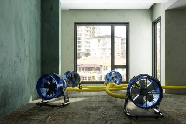 Best Water damage restoration company  in Deerfield, MI